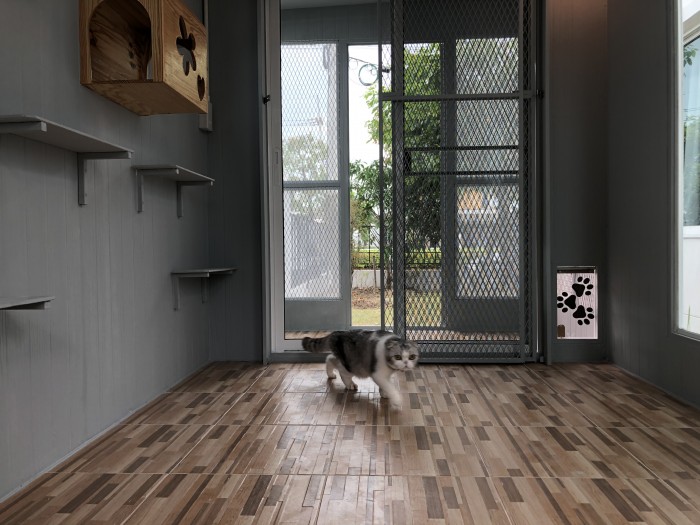 รับสร้างบ้านหมา