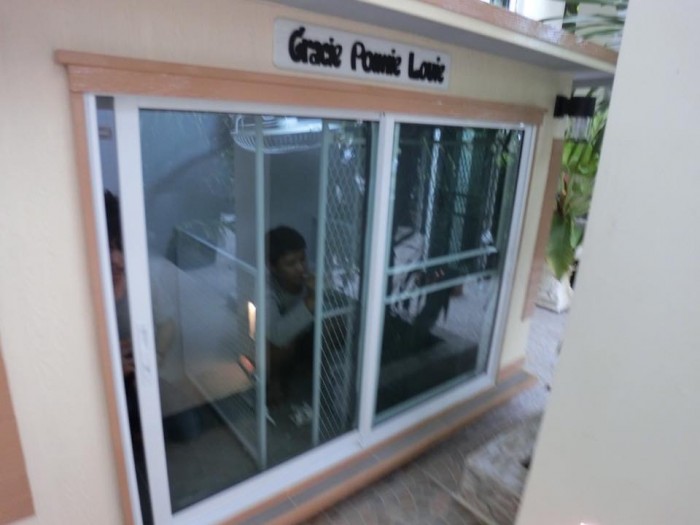 รับสร้างบ้านหมา