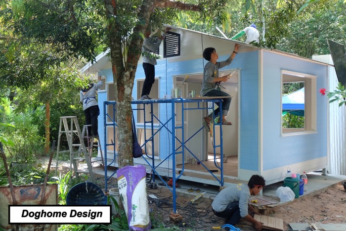 รับสร้างบ้านหมา