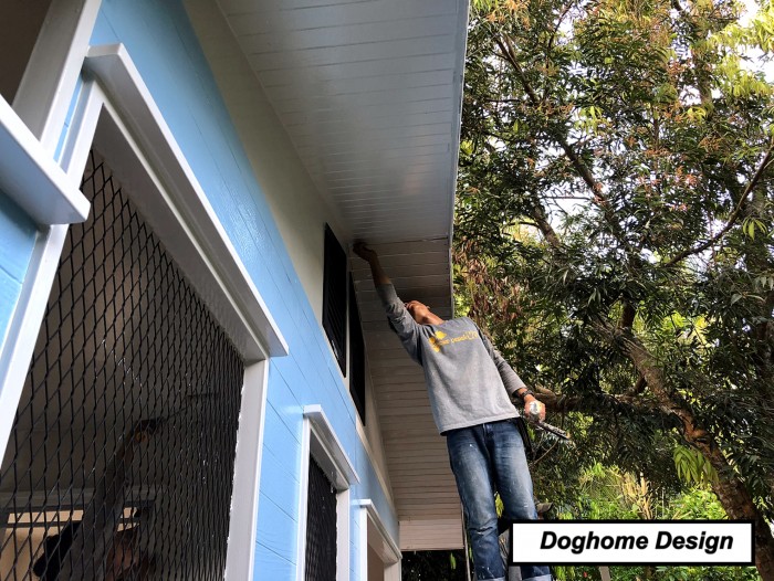 รับสร้างบ้านหมา