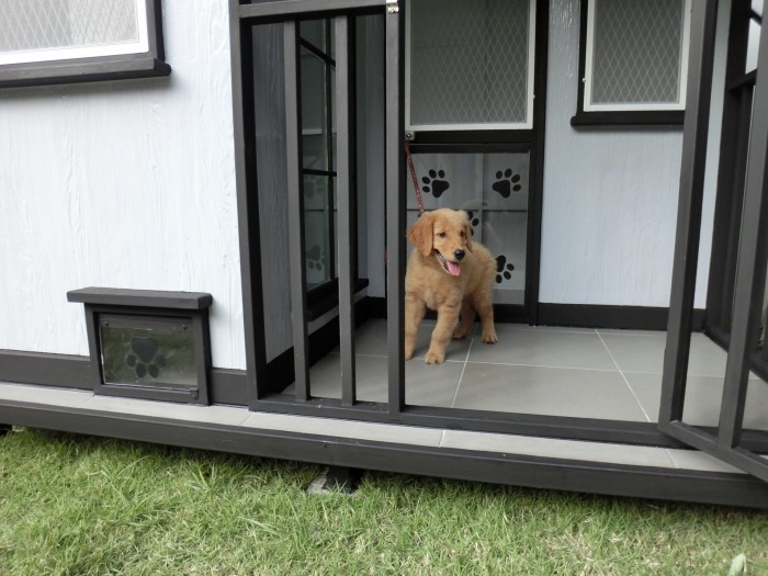 รับสร้างบ้านหมา