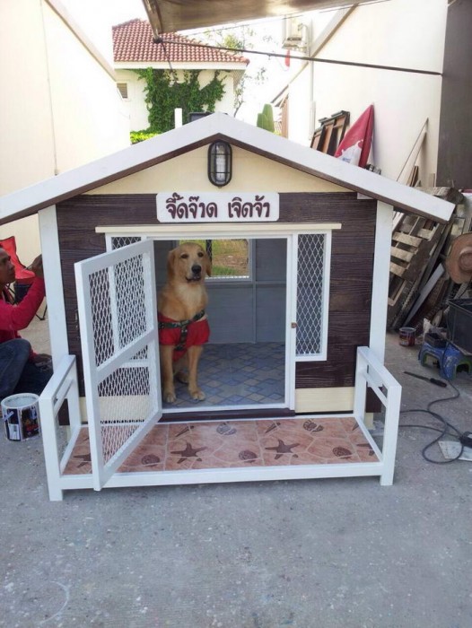 รับสร้างบ้านหมา
