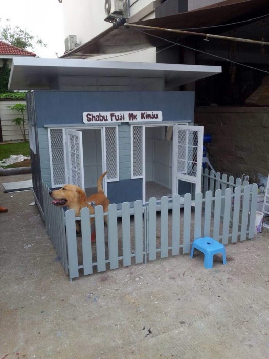 รับสร้างบ้านหมา