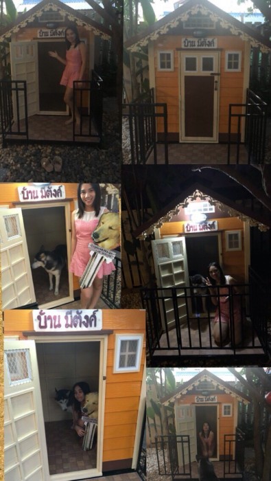 รับสร้างบ้านหมา
