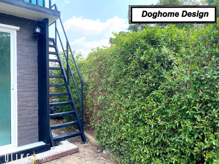 รับสร้างบ้านหมา