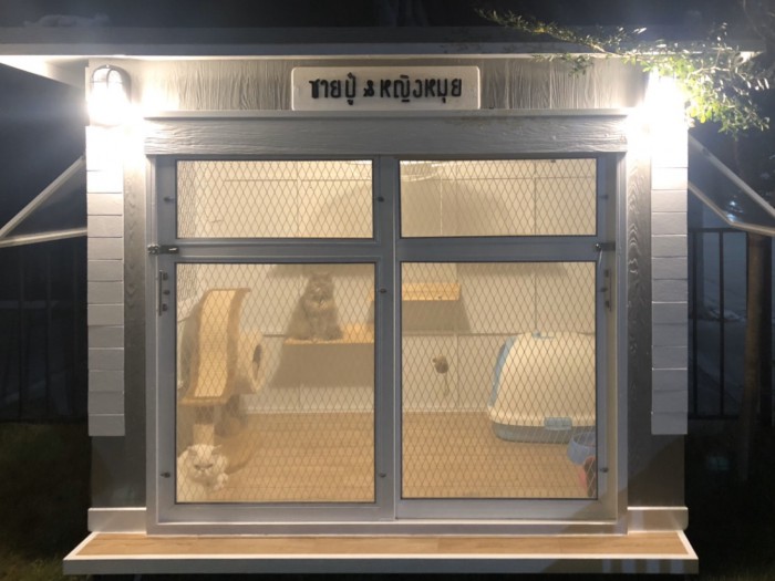 รับสร้างบ้านหมา