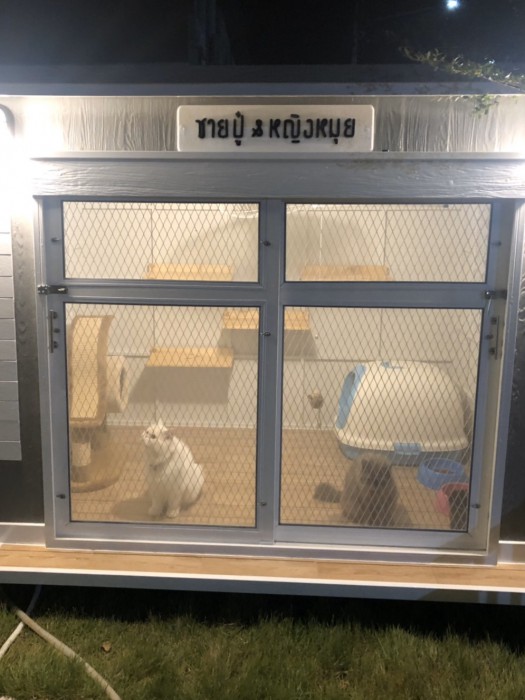 รับสร้างบ้านหมา