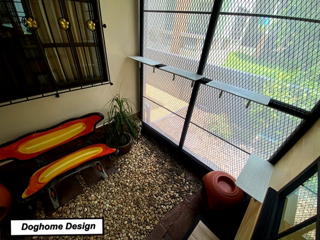 รับสร้างบ้านหมา