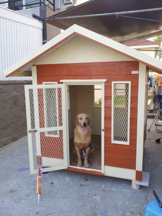 รับสร้างบ้านหมา