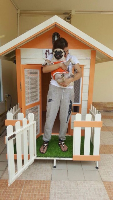 รับสร้างบ้านหมา