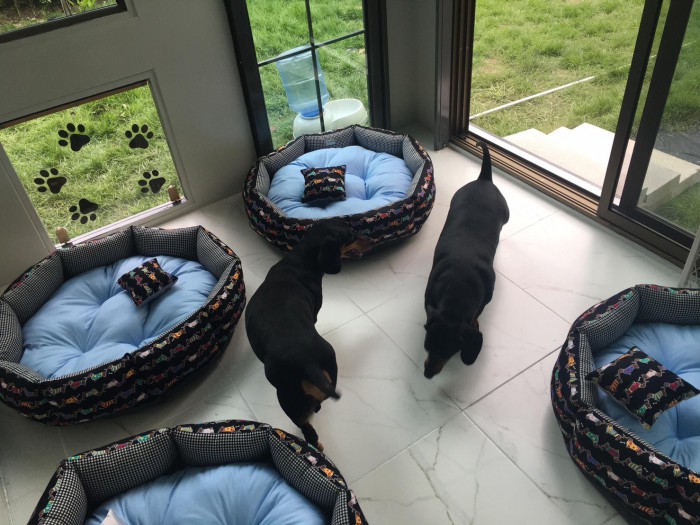 รับสร้างบ้านหมา