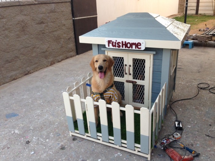 รับสร้างบ้านหมา