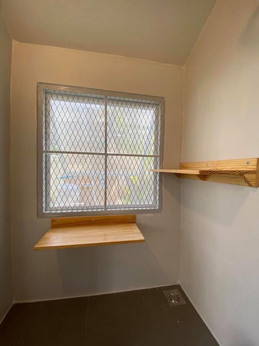 รับสร้างบ้านหมา