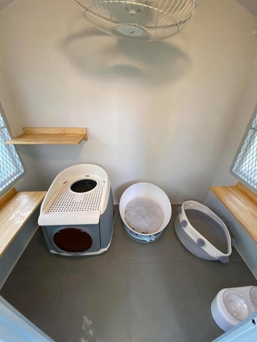 รับสร้างบ้านหมา