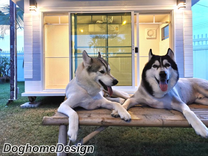 รับสร้างบ้านหมา