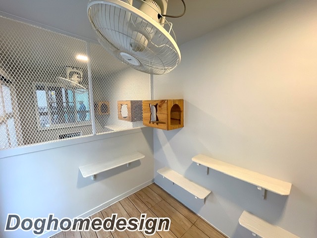 รับสร้างบ้านหมา