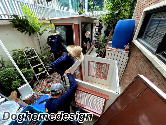 รับสร้างบ้านหมา