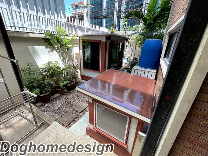 รับสร้างบ้านหมา